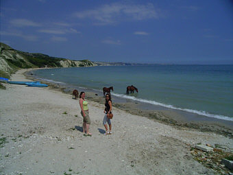 BjalaLagunamini