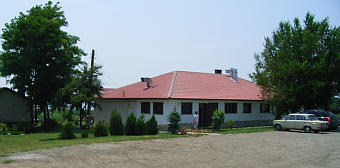 SladkaRibkamini